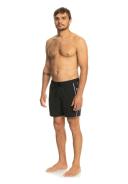 Quiksilver Everyday Vert Volley 16 Swimming Shorts Black XS Man