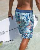 Quiksilver Highlite Arch 19" Boardshort in Blue Aqua 33