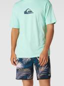 Quiksilver Highlite Scallop 19" Boardshorts in Black 33