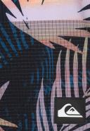 Quiksilver Highlite Scallop 19" Boardshorts in Black 33