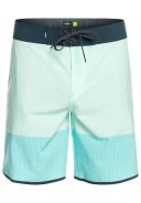 Quiksilver Highlite Scallop Boardshorts in Green 38