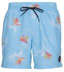 Quiksilver Men's 17" Everyday Mix Swim Trunks - Angel Blue - Swimoutlet.com