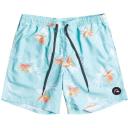 Quiksilver Men's 17" Everyday Mix Swim Trunks - Angel Blue - Swimoutlet.com