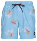 Quiksilver Men's 17" Everyday Mix Swim Trunks - Blue Grey - Swimoutlet.com