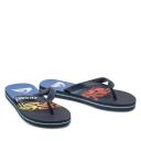Quiksilver Men's Molokai Art Thongs Blue 9