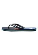 Quiksilver Men's Molokai Art Thongs Blue 9