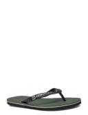 Quiksilver Men's Molokai Thongs Green/Black 8