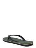 Quiksilver Men's Molokai Thongs Green/Black 8