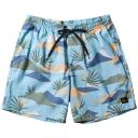 Quiksilver Men's Standard Everyday Mix Volley 17 Boardshort Swim Trunk