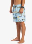 Quiksilver Men's Standard Everyday Mix Volley 17 Boardshort Swim Trunk