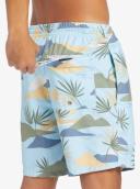 Quiksilver Men's Standard Everyday Mix Volley 17 Boardshort Swim Trunk