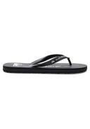 Quiksilver - Molokai Massive - Size 12(45)