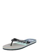 Quiksilver Molokai Panel Flip Flops Black Blue Grey - 43