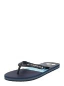 Quiksilver Molokai Panel Flip Flops Blue Grey - 45