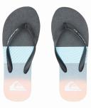 Quiksilver Molokai Panel Flip Flops Blue Grey Pink - 46