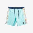 Quiksilver - Surfsilk Arch 18 - Size 32