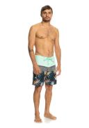 Quiksilver Surfsilk Panel 18 Swimming Shorts Green 32 Man