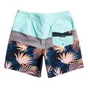 Quiksilver Surfsilk Panel 18 Swimming Shorts Green 38 Man