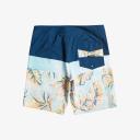 Quiksilver - Surfsilk Panel 20 - Size 32