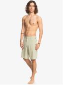 Quiksilver Union Heather 20" Amphibian Shorts in Desert Sage Green 30