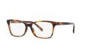 Ralph Lauren RL6233U 5303 Havana