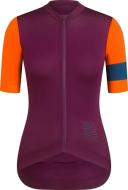 Rapha - Men's Pro Team Long Sleeve Training Cycling Jersey - Sand/Rust Brown - Small