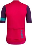 Rapha Mens Pro Team Training Jersey, Green/Brown/Sand / X-Small