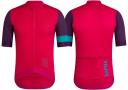 Rapha Mens Pro Team Training Jersey, Pink/Purple/Teal / Medium