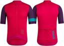 Rapha Mens Pro Team Training Jersey, Pink/Purple/Teal / X-Large