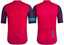 Rapha Mens Pro Team Training Jersey, Pink/Purple/Teal / X-Large