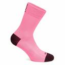 Rapha Pro Team Socks - Regular - White
