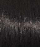 Raquel Welch Center Stage Lace Front Wig, R2 Ebony
