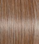 Raquel Welch Enchant Wig (RL38 Smoke)