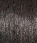 Raquel Welch Enchant Wig (RL38 Smoke)