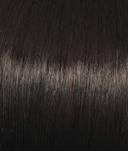 Raquel Welch Excite Wig (R4 Midnight Brown)