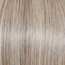 Raquel Welch Sincerely Yours Monofilament Wig, RL119 Silver & Smoke