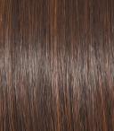Raquel Welch Sincerely Yours Monofilament Wig, RL4 6 Black Coffee