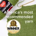 Red Heart Super Saver Jumbo Yarn, Paddy Green
