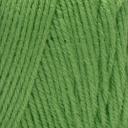 Red Heart Super Saver Yarn Spring Green