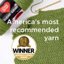 Red Heart Super Saver Yarn Spring Green