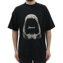 Represent M05237 171 Size: L