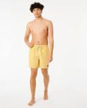 Rip Curl Bondi Volley Boardshorts | Official Store