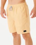 Rip Curl Bondi Volley Boardshorts | Official Store
