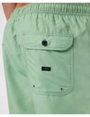 Rip Curl Easy Living Volley Swimming Shorts Green L Man