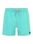 Rip Curl Offset Volley Swimming Shorts Blue 2XL Man CBOLQ4_0046_2XL