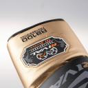Rival Boxing RS100 Pro Sparring Boxing Gloves - 16 oz. - Black/Gold