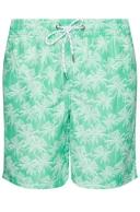 Rivers Printed Boardshort