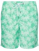 Rivers Printed Boardshort