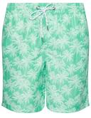 Rivers Printed Boardshort