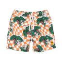 Rock Your Baby Checker Dino Boardshorts with Mesh Lining 7